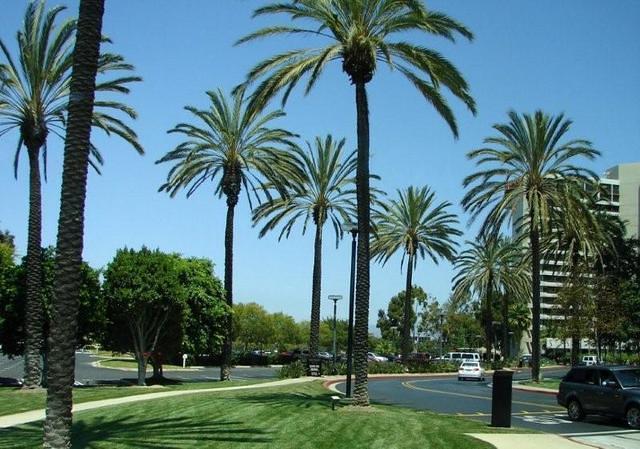 Irvine Marriott