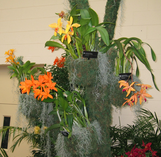 Missouri Botanical Gardens
